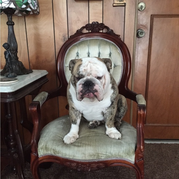 Meet your Posher, Candice - Picture 10 of 12